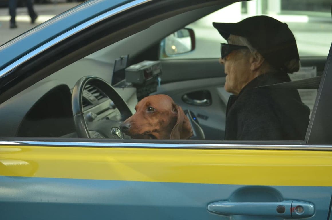 Affordable Car Insurance for Seniors: What’s Changing in 2025–2026